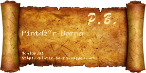 Pintér Barna névjegykártya